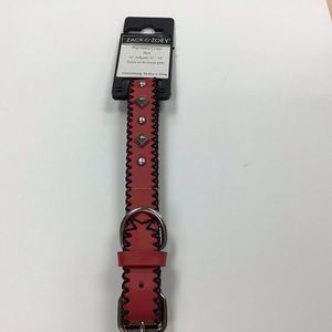 Zack and Zoey Dog Collar